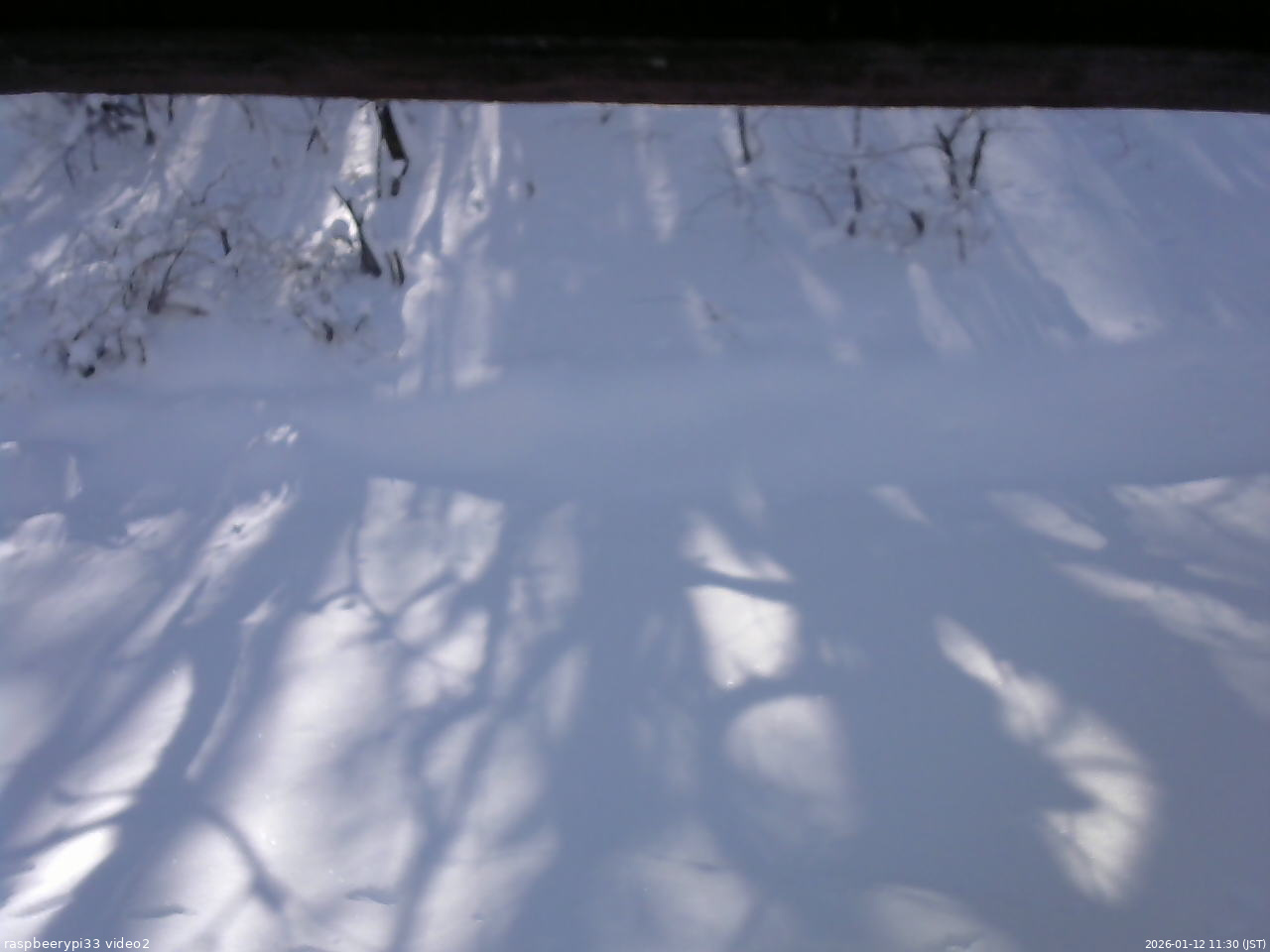 長野県菅平高原 ゆたか山荘 南側 2026/01/12 11:30