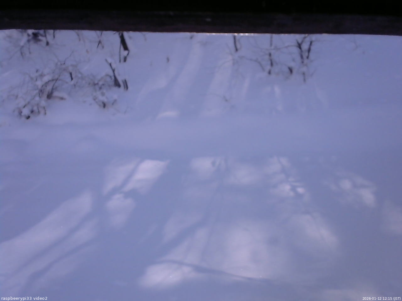 長野県菅平高原 ゆたか山荘 南側 2026/01/12 12:15