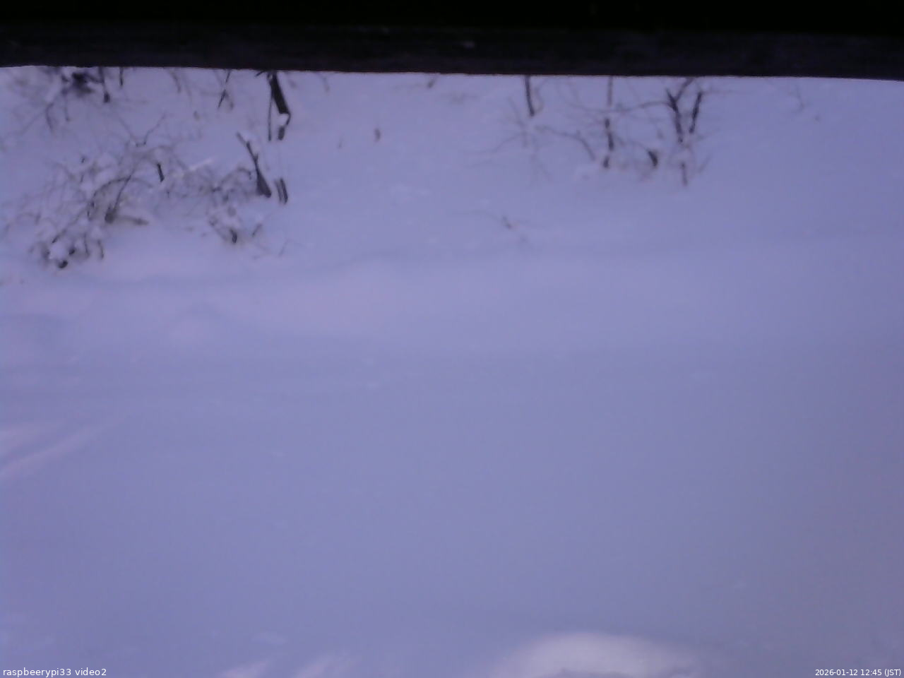 長野県菅平高原 ゆたか山荘 南側 2026/01/12 12:45