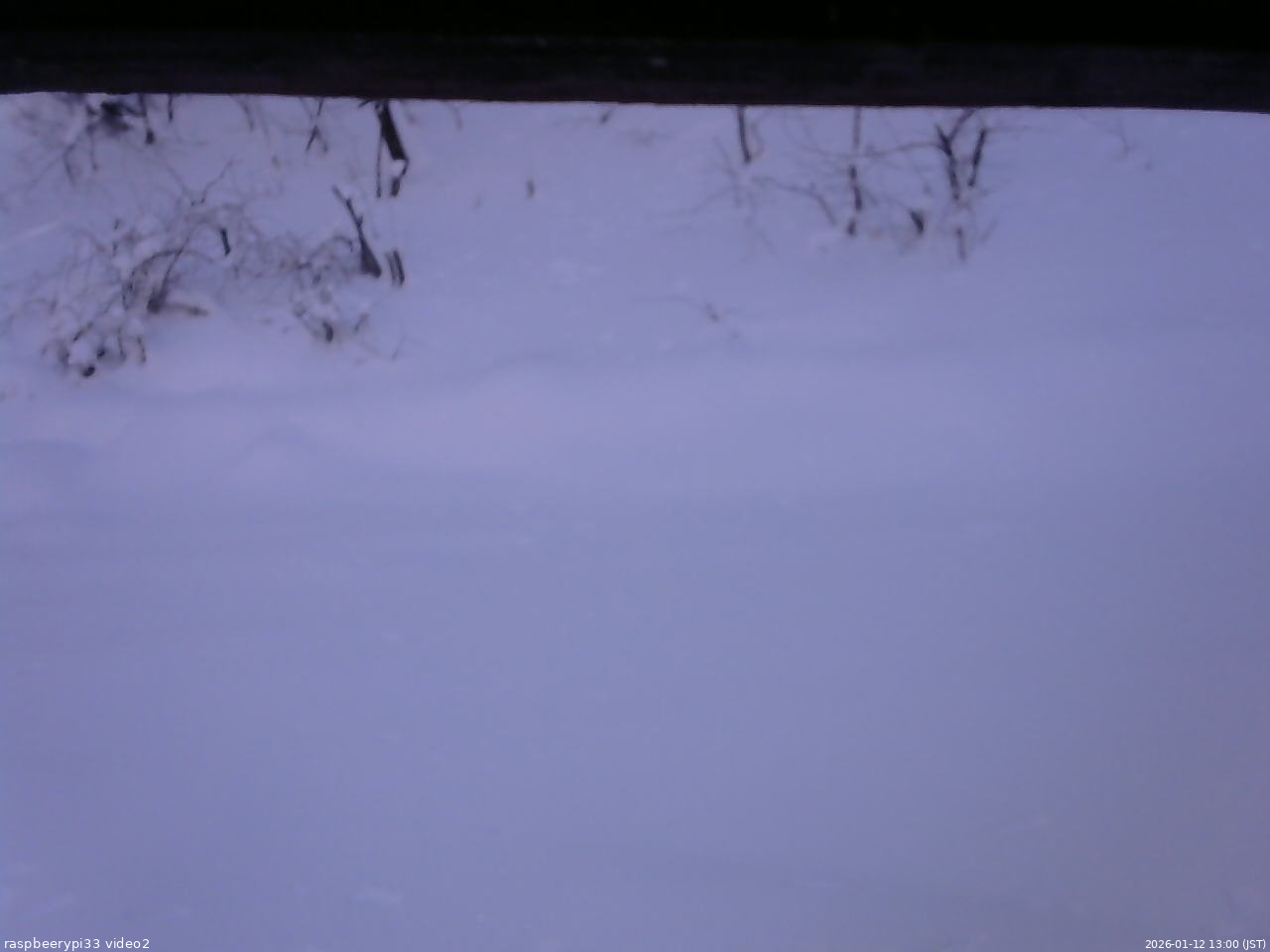 長野県菅平高原 ゆたか山荘 南側 2026/01/12 13:00