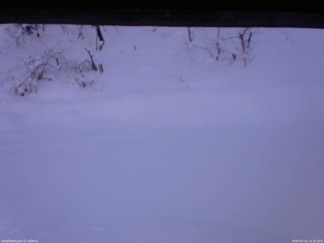 長野県菅平高原 ゆたか山荘 南側 2026/01/12 13:15
