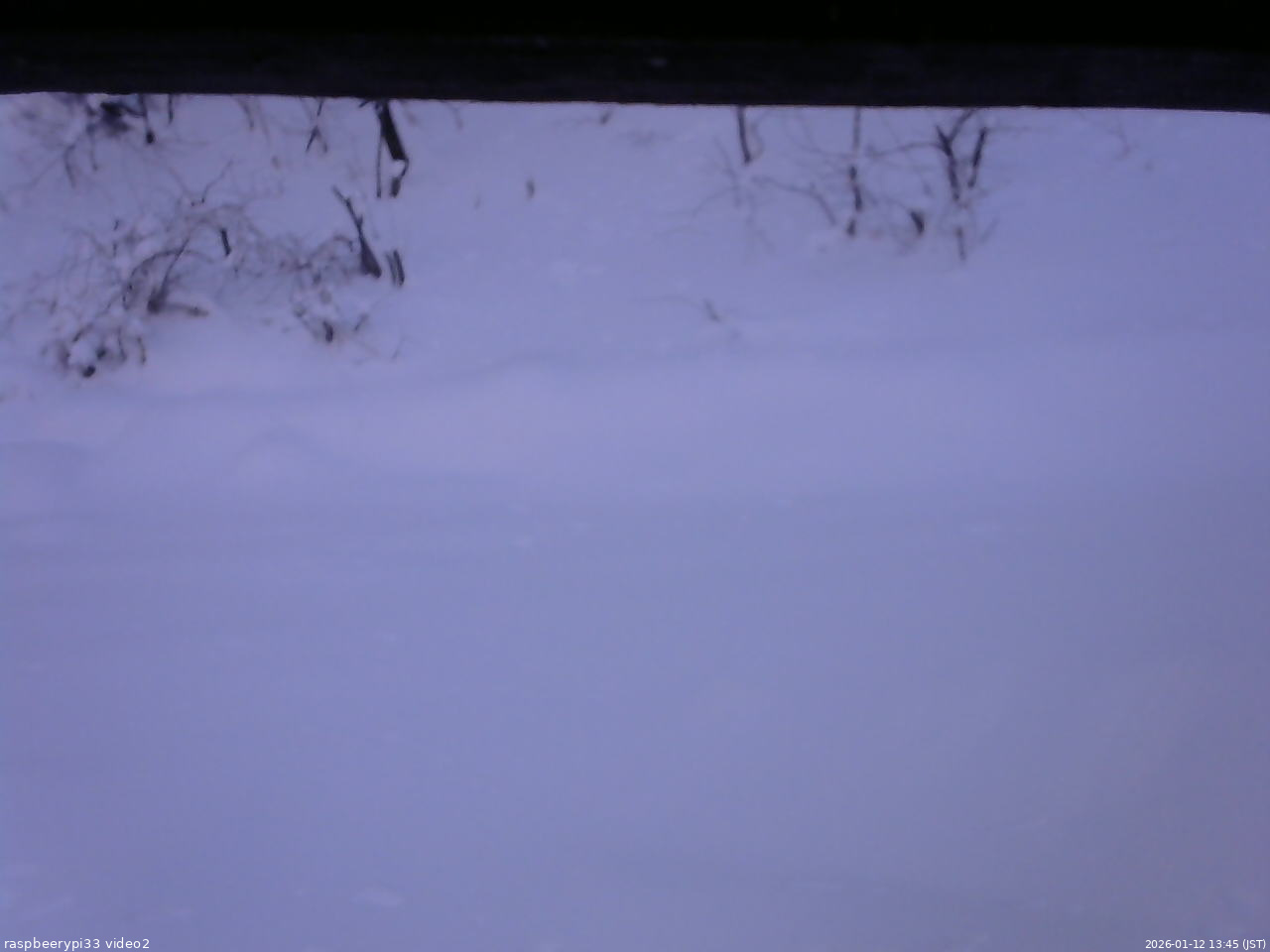 長野県菅平高原 ゆたか山荘 南側 2026/01/12 13:45