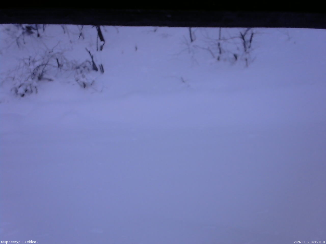 長野県菅平高原 ゆたか山荘 南側 2026/01/12 14:45