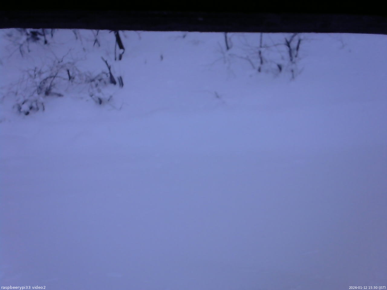 長野県菅平高原 ゆたか山荘 南側 2026/01/12 15:30