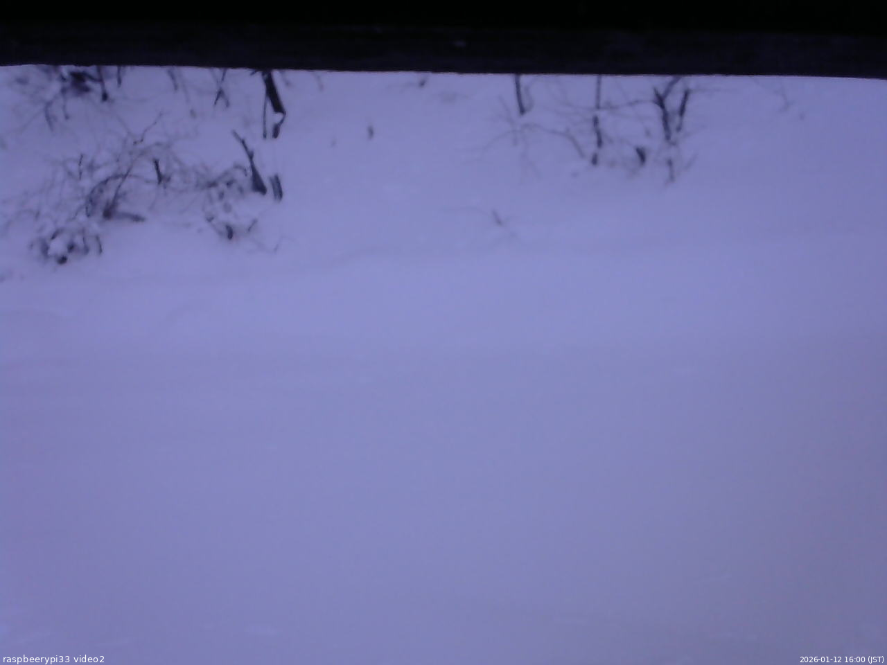 長野県菅平高原 ゆたか山荘 南側 2026/01/12 16:00