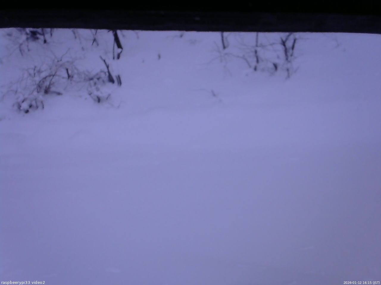 長野県菅平高原 ゆたか山荘 南側 2026/01/12 16:15