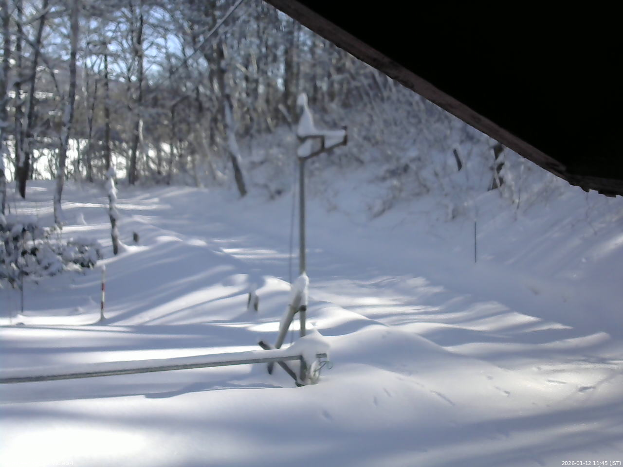 長野県菅平高原 ゆたか山荘 東側(坂下) 2026/01/12 11:45