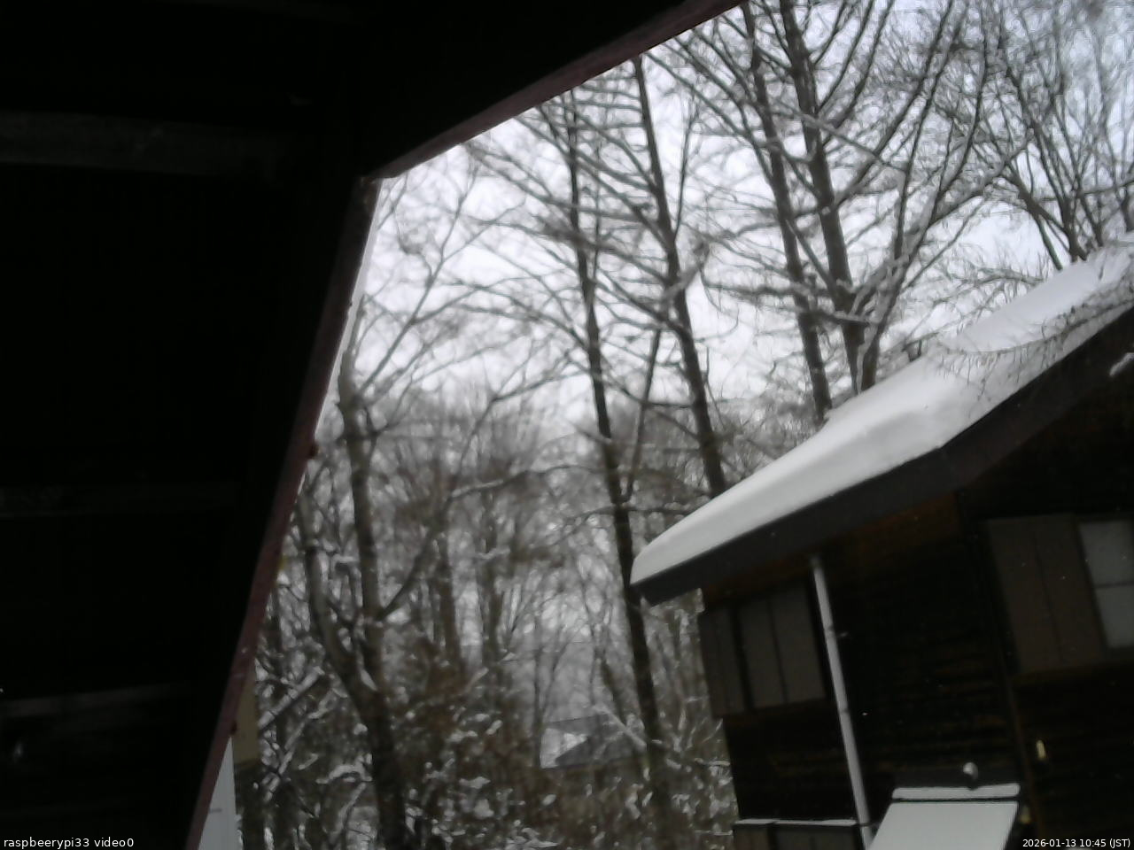 長野県菅平高原 ゆたか山荘 北側 2026/01/13 10:45