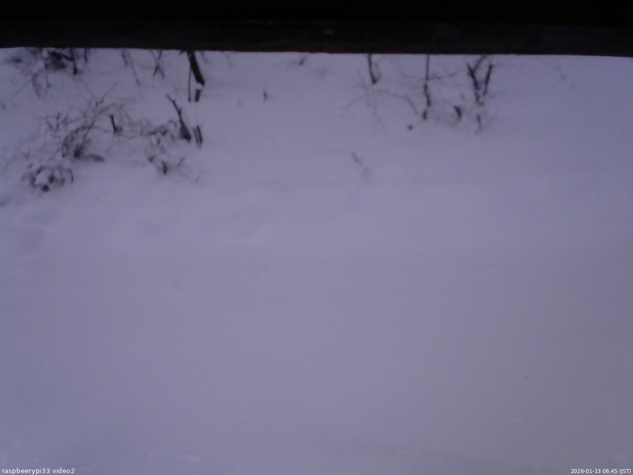 長野県菅平高原 ゆたか山荘 南側 2026/01/13 06:45