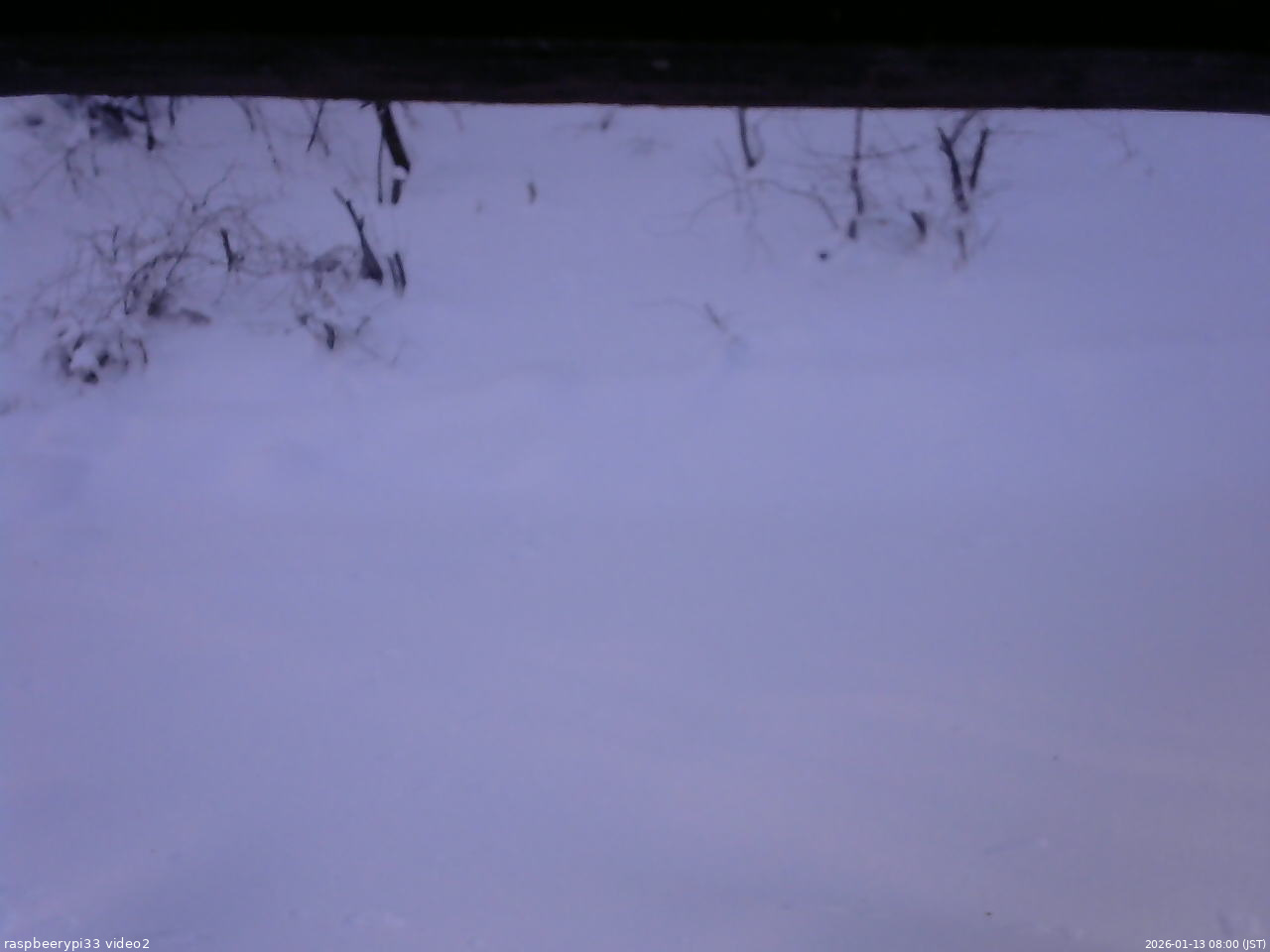 長野県菅平高原 ゆたか山荘 南側 2026/01/13 08:00