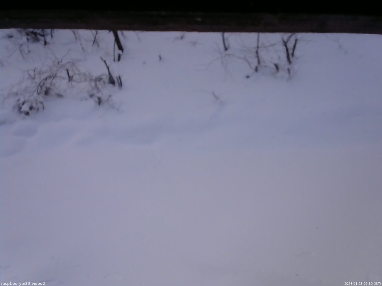 長野県菅平高原 ゆたか山荘 南側 2026/01/13 09:30