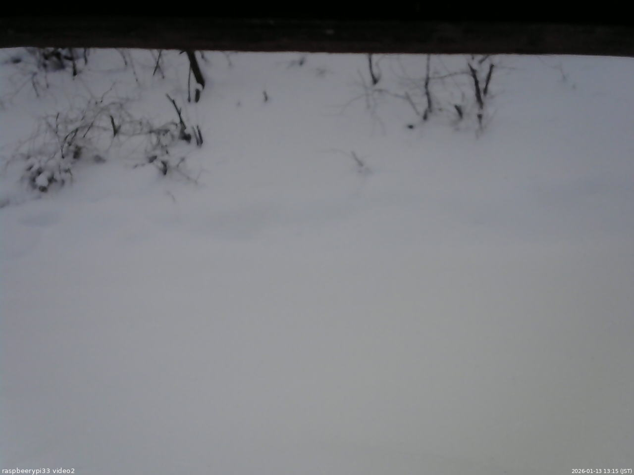 長野県菅平高原 ゆたか山荘 南側 2026/01/13 13:15