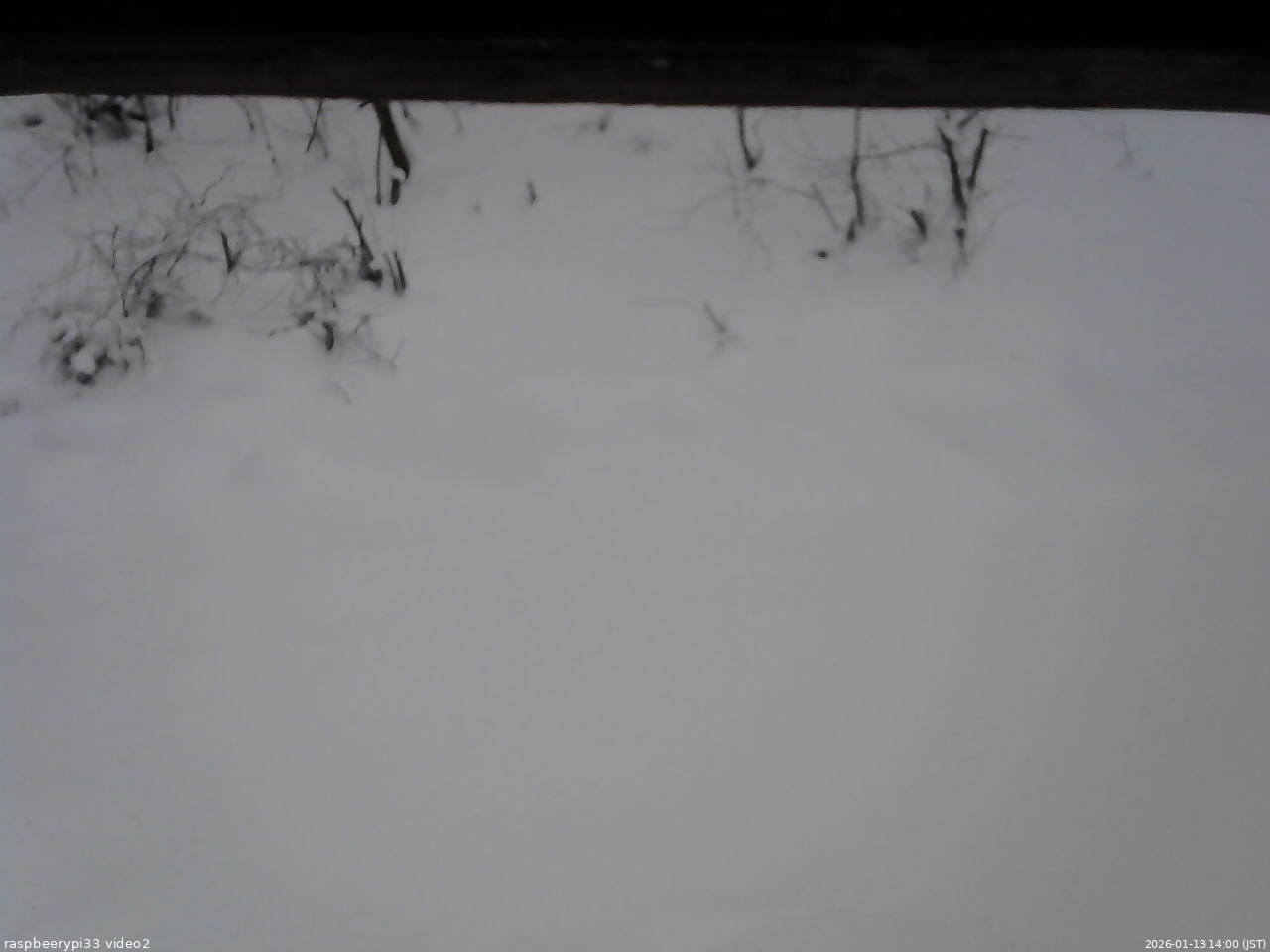 長野県菅平高原 ゆたか山荘 南側 2026/01/13 14:00