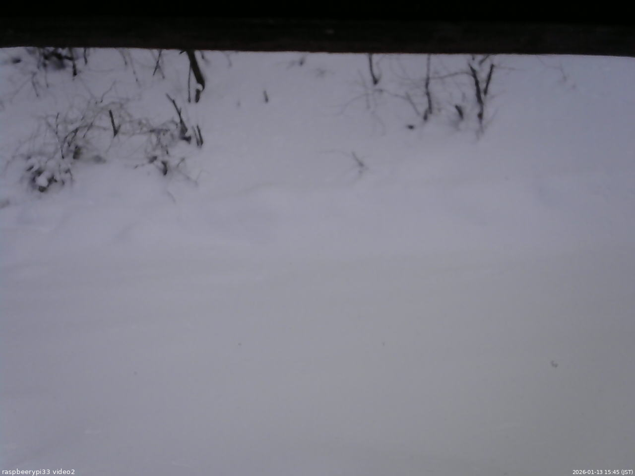 長野県菅平高原 ゆたか山荘 南側 2026/01/13 15:45