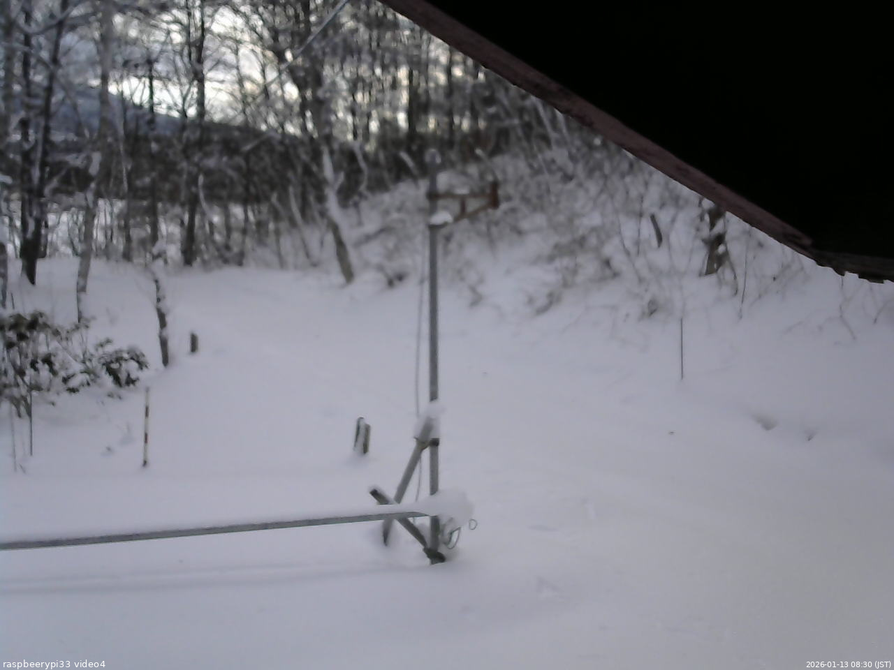 長野県菅平高原 ゆたか山荘 東側(坂下) 2026/01/13 08:30