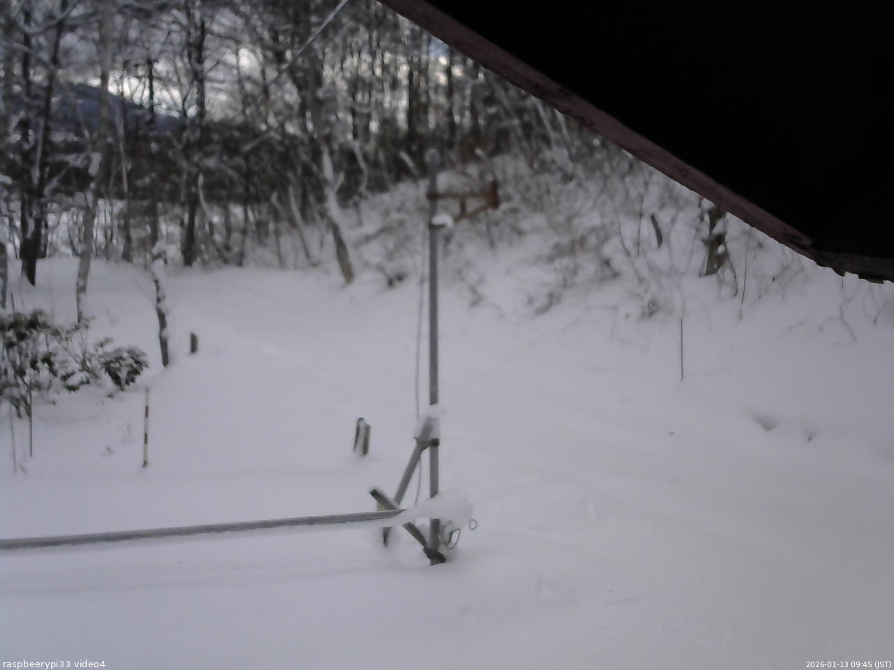 長野県菅平高原 ゆたか山荘 東側(坂下) 2026/01/13 09:45
