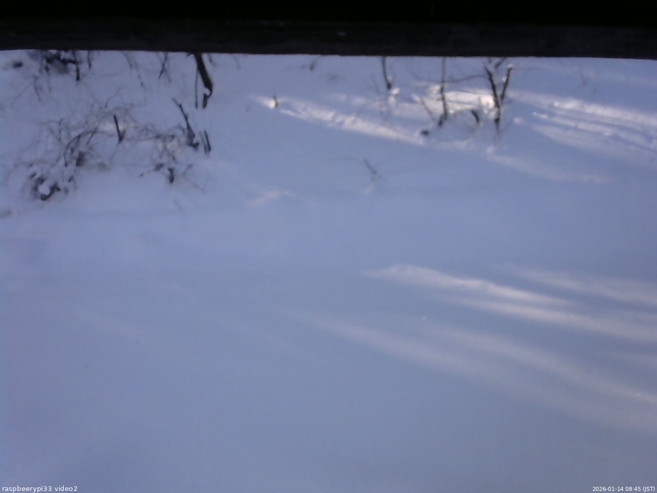 長野県菅平高原 ゆたか山荘 南側 2026/01/14 08:45