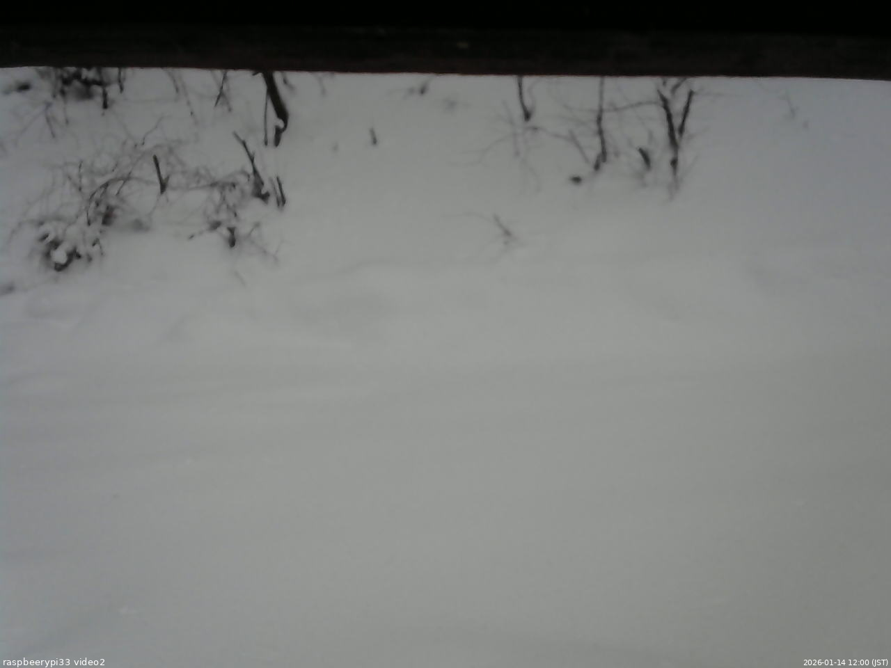 長野県菅平高原 ゆたか山荘 南側 2026/01/14 12:00