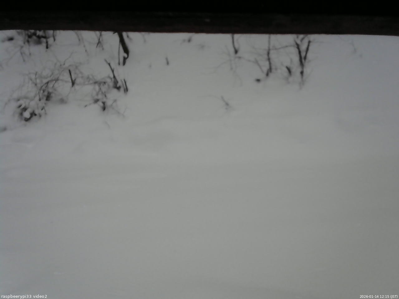 長野県菅平高原 ゆたか山荘 南側 2026/01/14 12:15