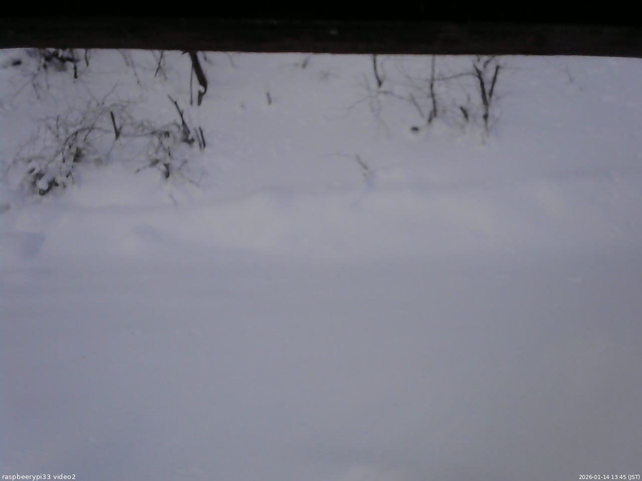 長野県菅平高原 ゆたか山荘 南側 2026/01/14 13:45