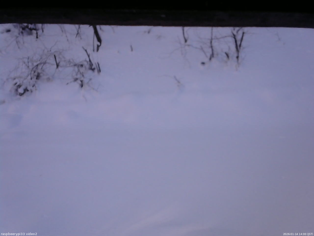 長野県菅平高原 ゆたか山荘 南側 2026/01/14 14:00
