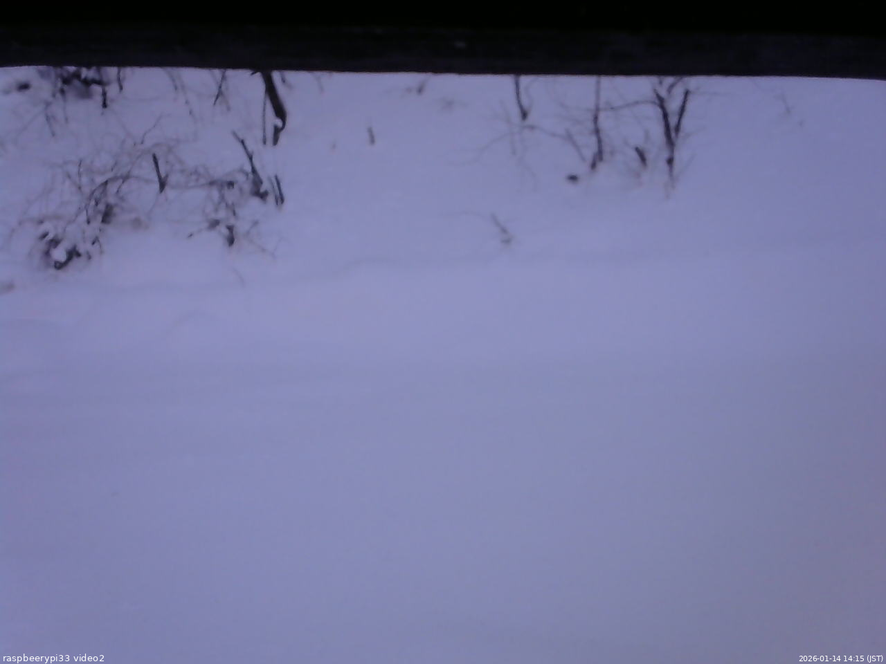 長野県菅平高原 ゆたか山荘 南側 2026/01/14 14:15
