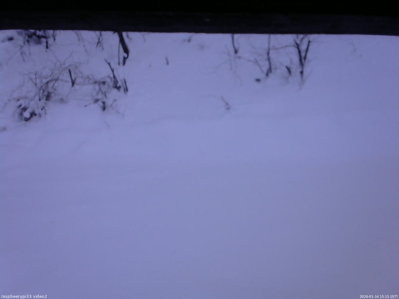 長野県菅平高原 ゆたか山荘 南側 2026/01/14 15:15