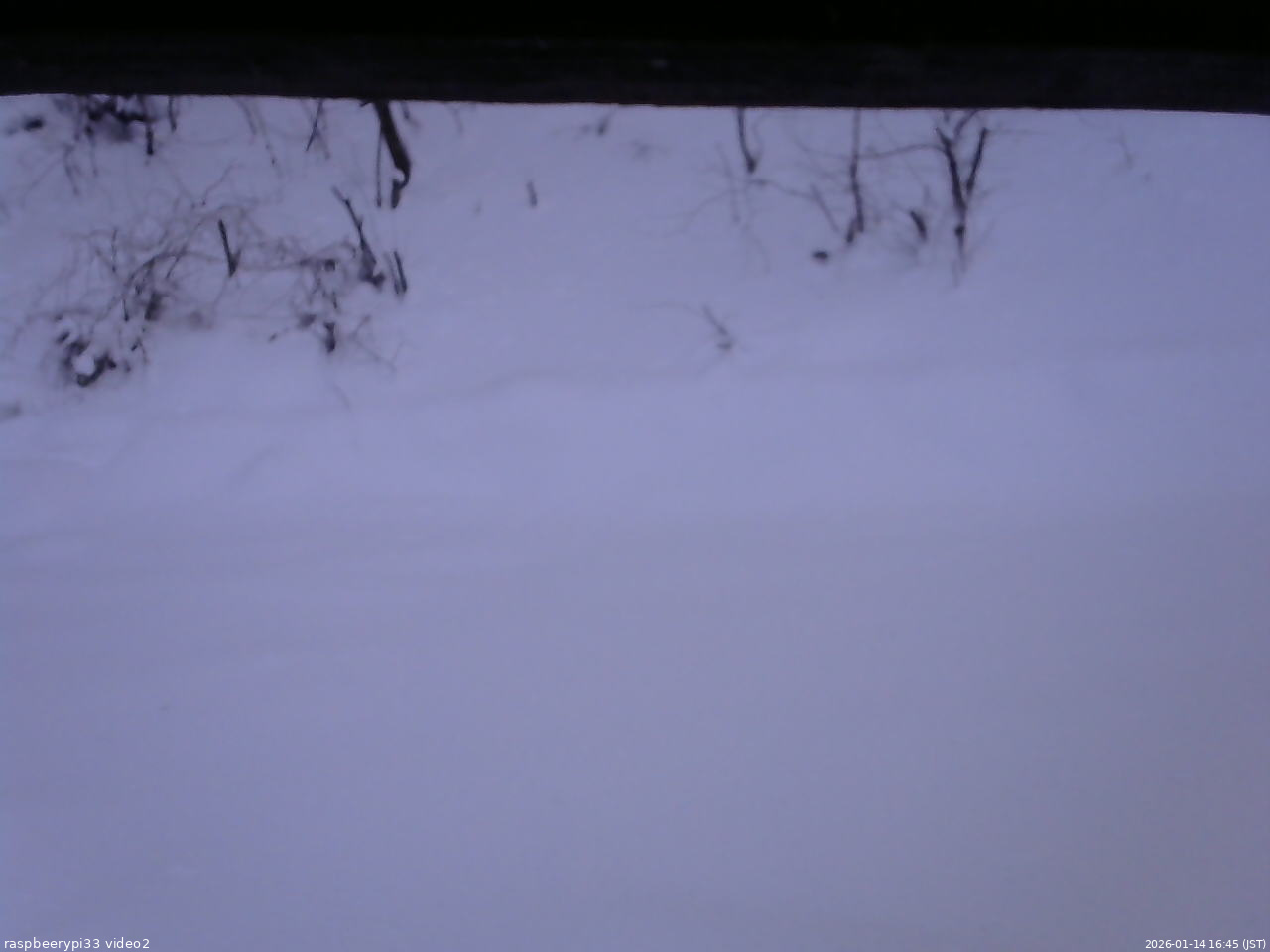 長野県菅平高原 ゆたか山荘 南側 2026/01/14 16:45
