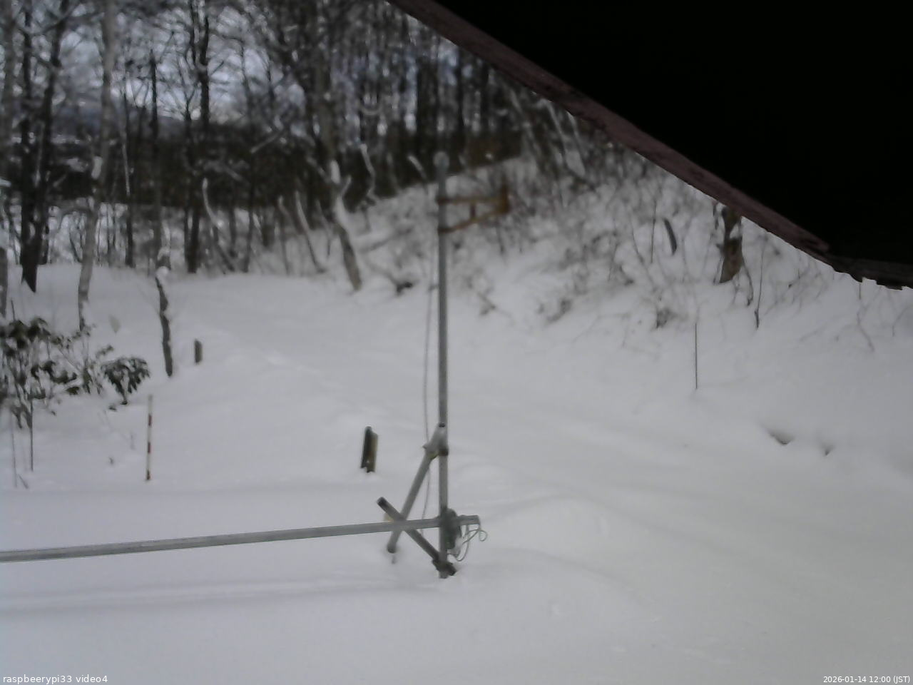 長野県菅平高原 ゆたか山荘 東側(坂下) 2026/01/14 12:00