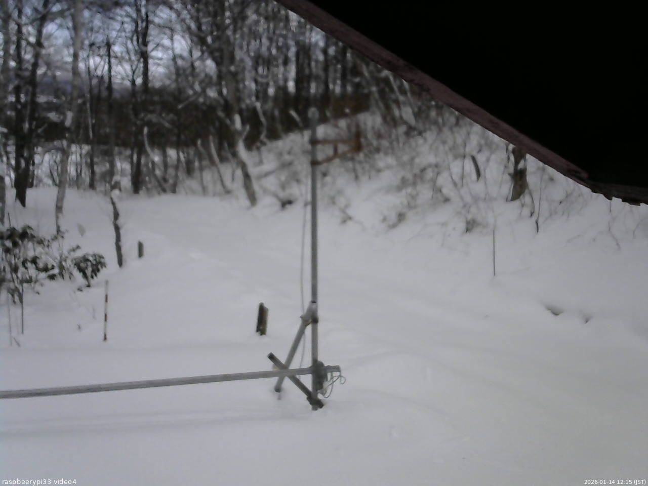 長野県菅平高原 ゆたか山荘 東側(坂下) 2026/01/14 12:15