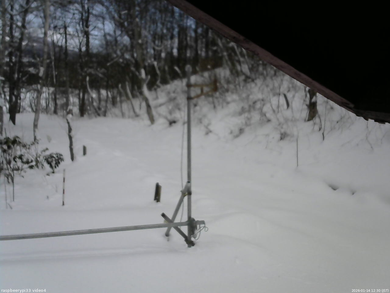 長野県菅平高原 ゆたか山荘 東側(坂下) 2026/01/14 12:30