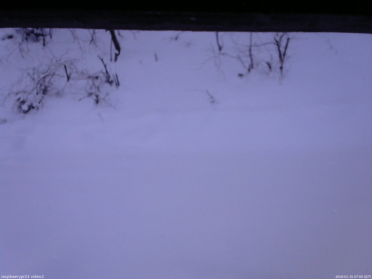 長野県菅平高原 ゆたか山荘 南側 2026/01/15 07:00