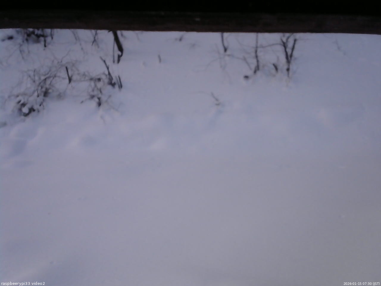 長野県菅平高原 ゆたか山荘 南側 2026/01/15 07:30