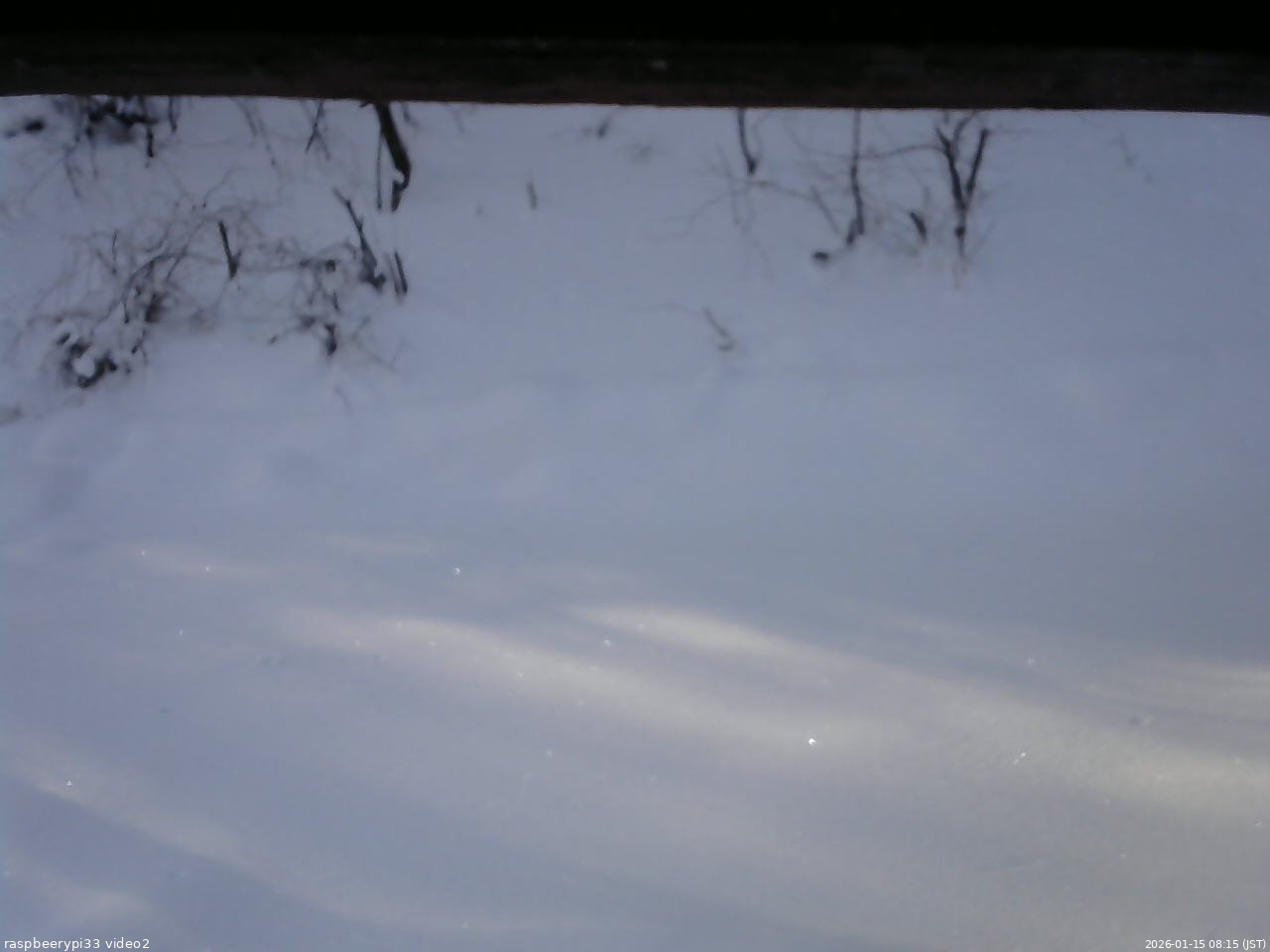 長野県菅平高原 ゆたか山荘 南側 2026/01/15 08:15