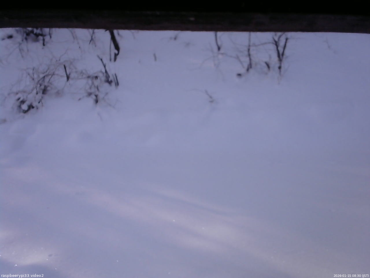 長野県菅平高原 ゆたか山荘 南側 2026/01/15 08:30