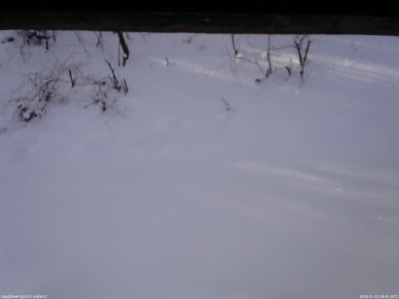 長野県菅平高原 ゆたか山荘 南側 2026/01/15 08:45