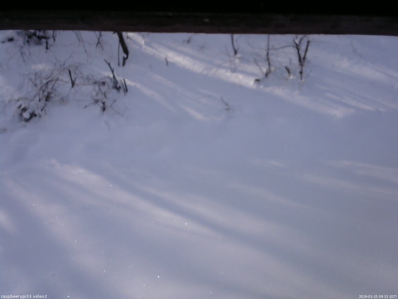 長野県菅平高原 ゆたか山荘 南側 2026/01/15 09:15