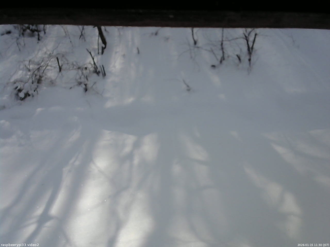 長野県菅平高原 ゆたか山荘 南側 2026/01/15 11:30
