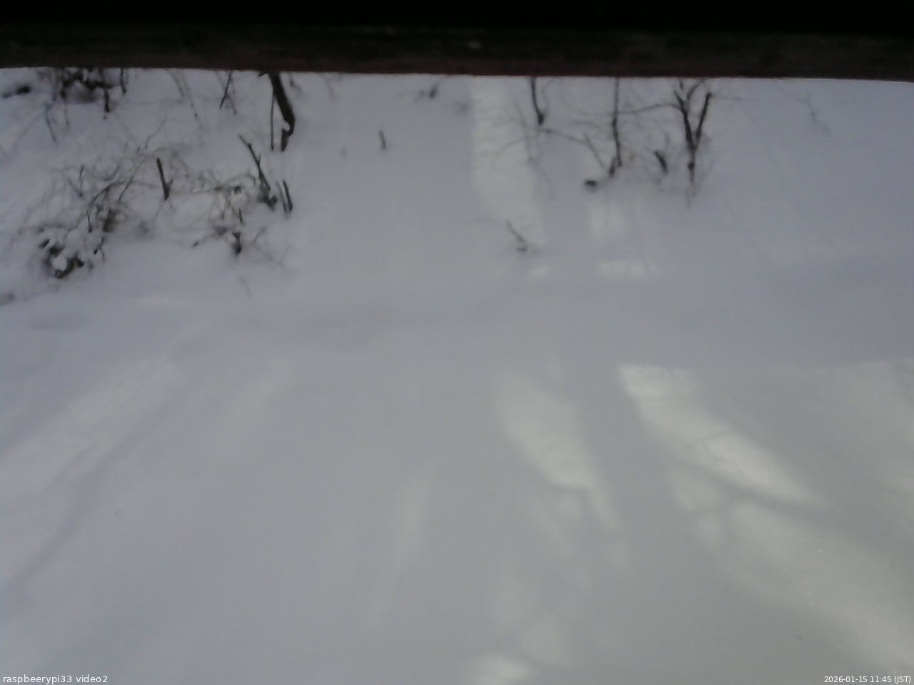 長野県菅平高原 ゆたか山荘 南側 2026/01/15 11:45