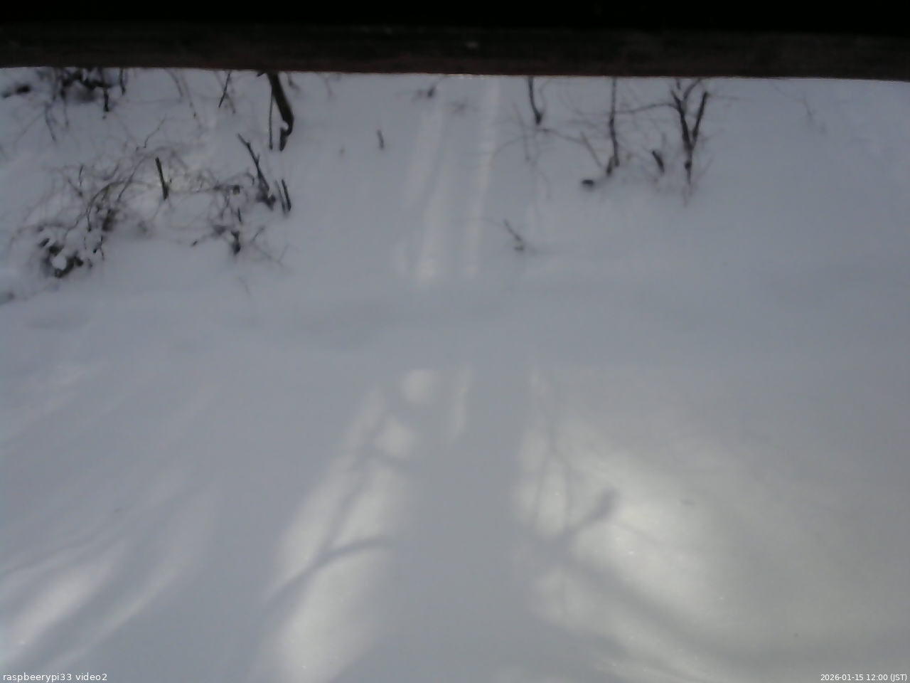 長野県菅平高原 ゆたか山荘 南側 2026/01/15 12:00