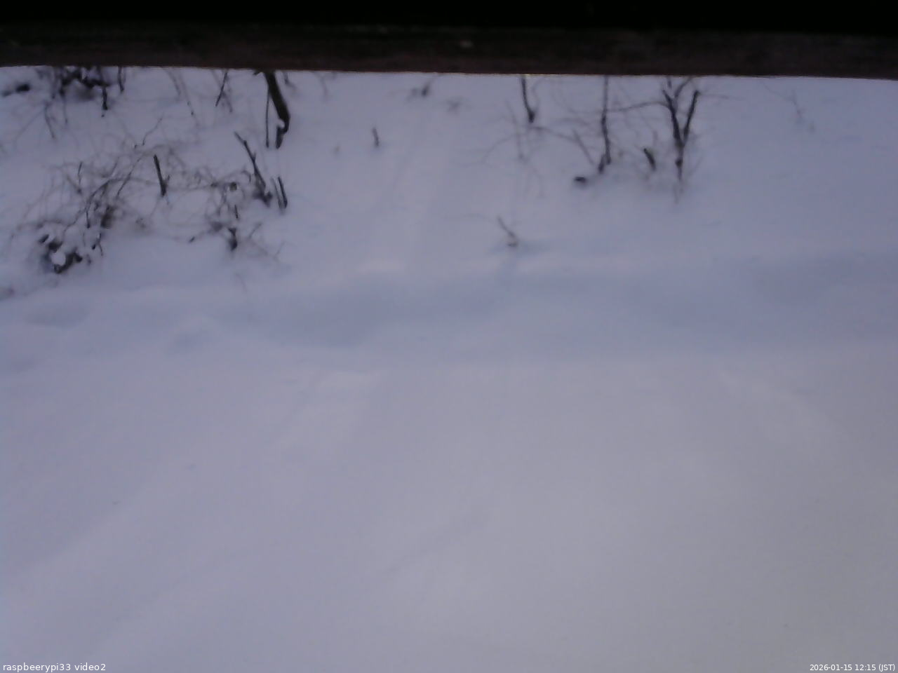 長野県菅平高原 ゆたか山荘 南側 2026/01/15 12:15