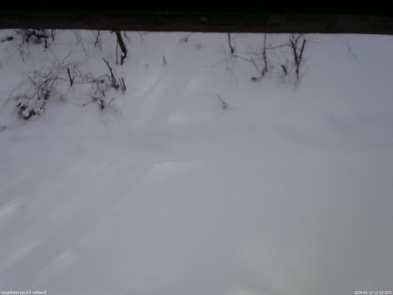 長野県菅平高原 ゆたか山荘 南側 2026/01/15 12:30