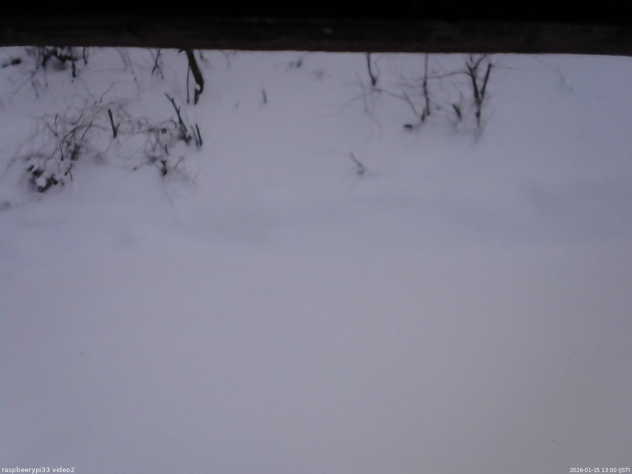 長野県菅平高原 ゆたか山荘 南側 2026/01/15 13:00