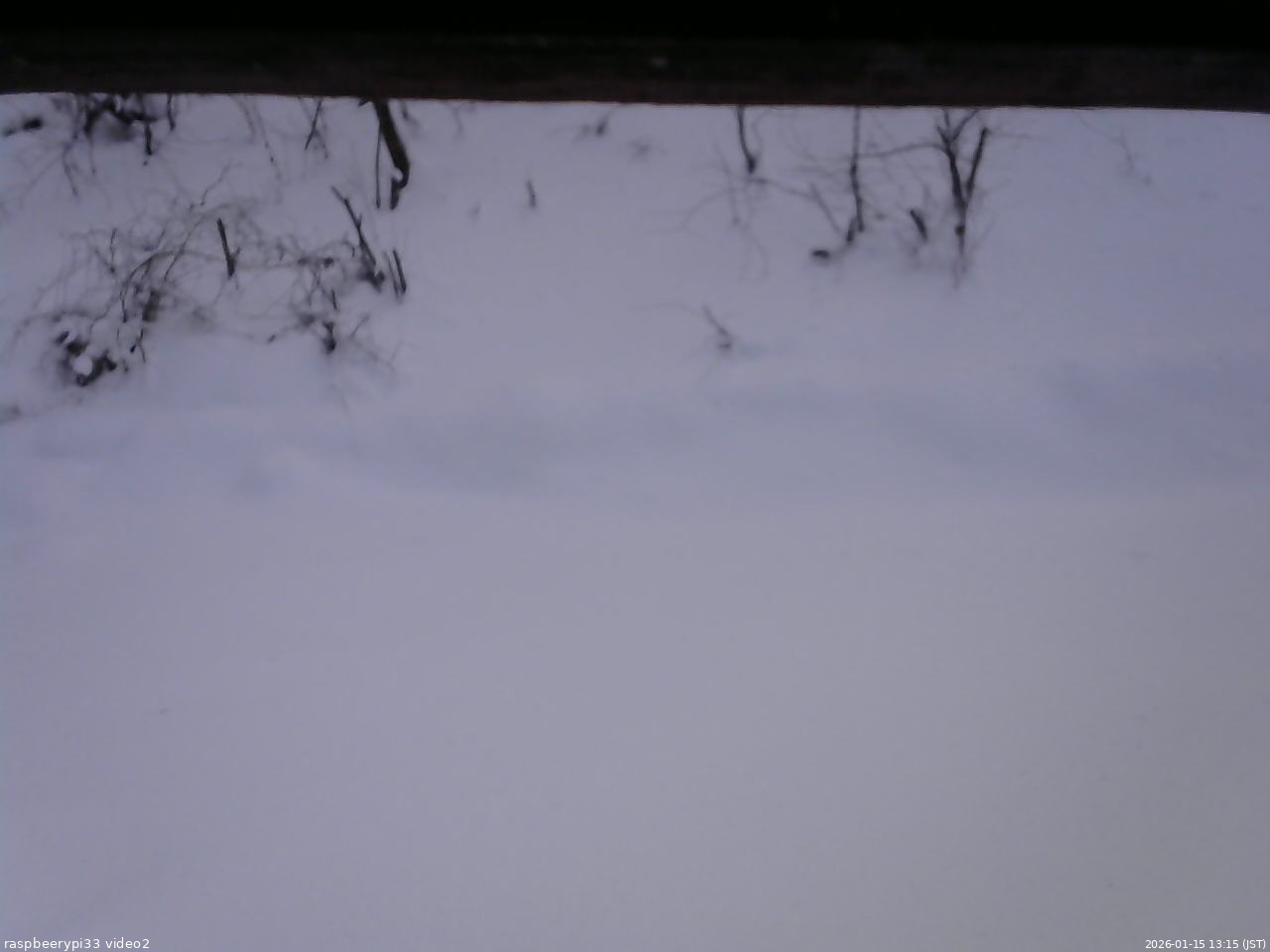 長野県菅平高原 ゆたか山荘 南側 2026/01/15 13:15