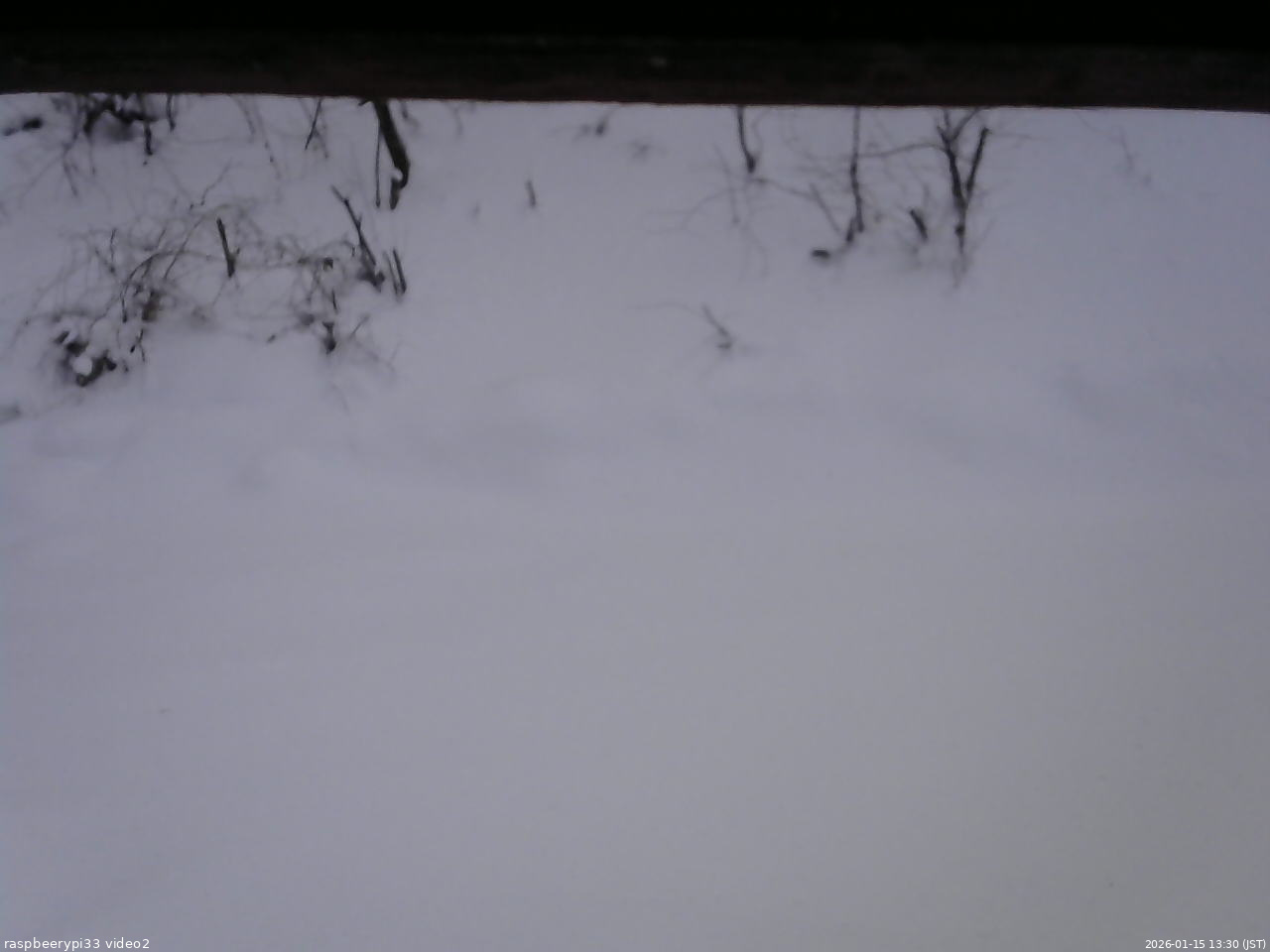 長野県菅平高原 ゆたか山荘 南側 2026/01/15 13:30