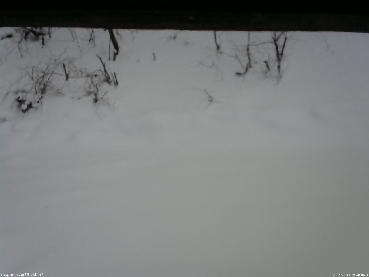 長野県菅平高原 ゆたか山荘 南側 2026/01/15 15:30