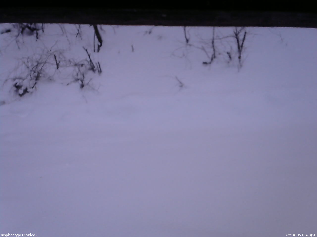 長野県菅平高原 ゆたか山荘 南側 2026/01/15 16:45