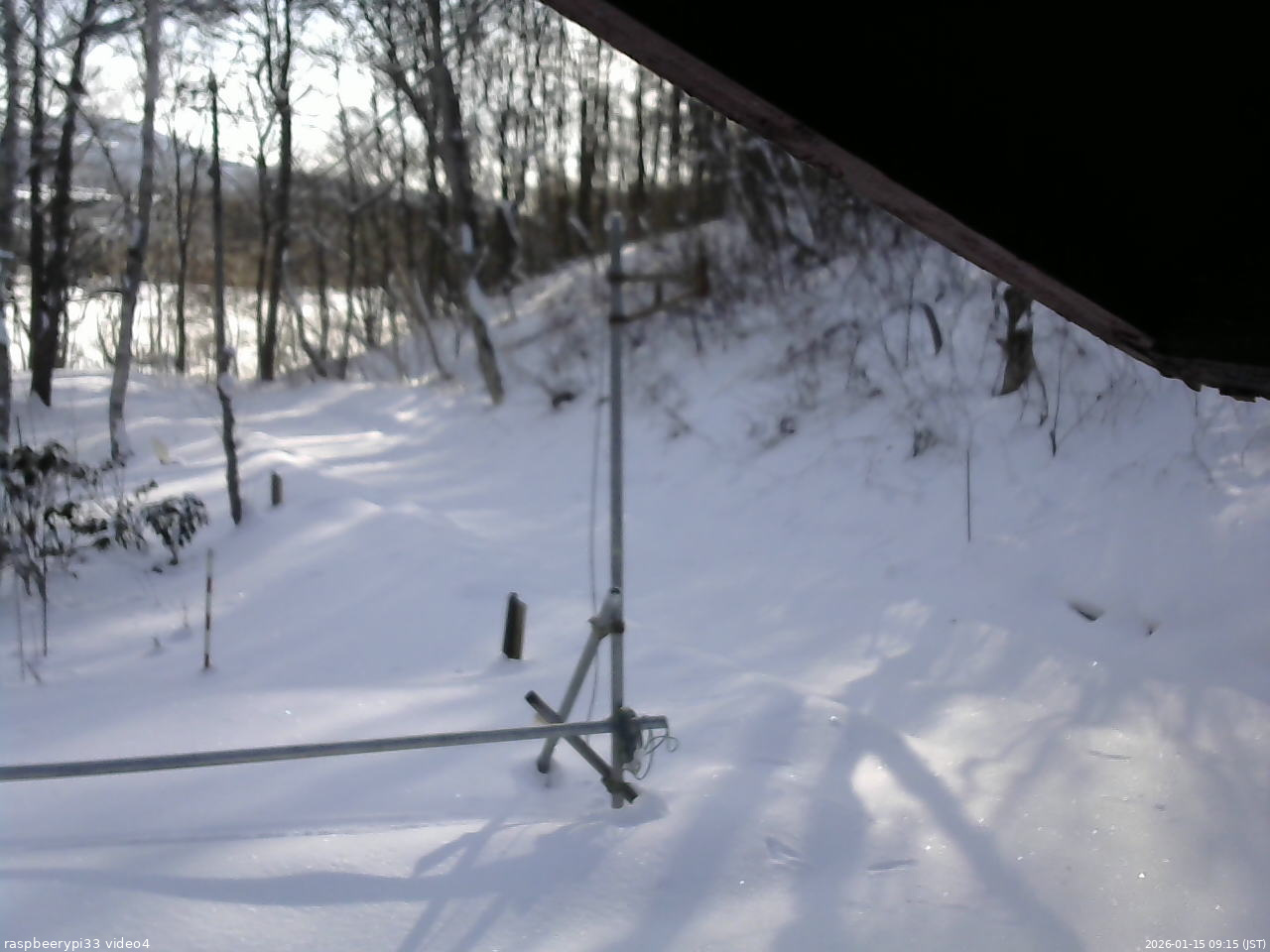 長野県菅平高原 ゆたか山荘 東側(坂下) 2026/01/15 09:15
