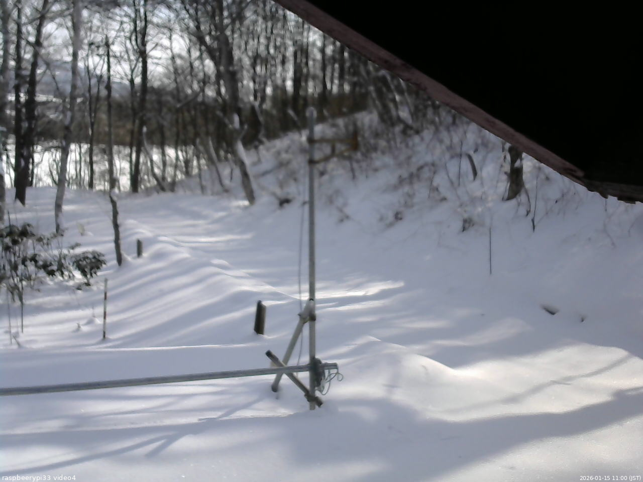 長野県菅平高原 ゆたか山荘 東側(坂下) 2026/01/15 11:00