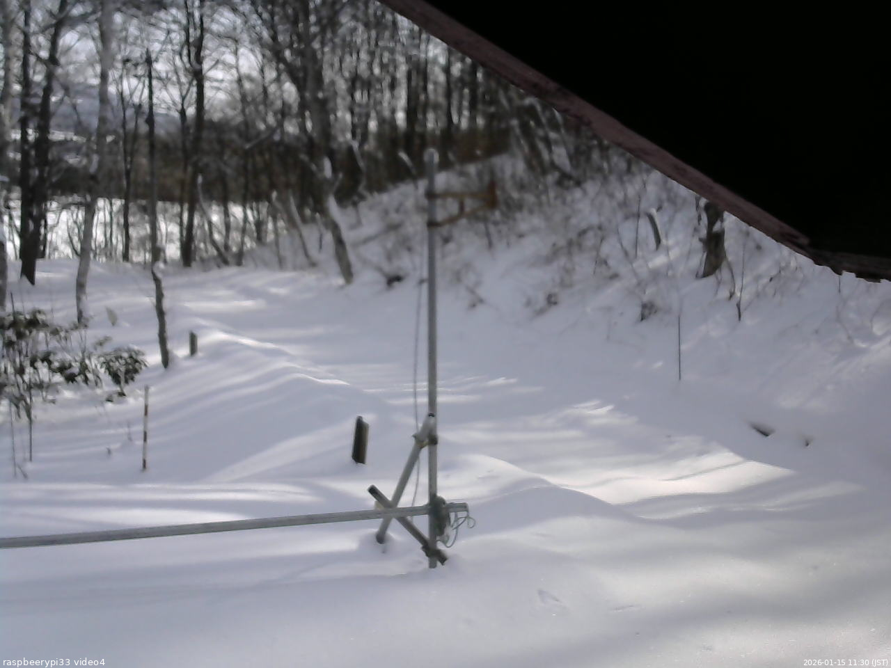 長野県菅平高原 ゆたか山荘 東側(坂下) 2026/01/15 11:30